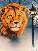 Picture, Lion's Head